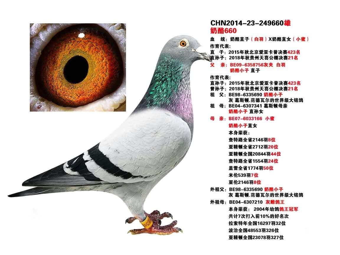 ֱӡxֱŮСU