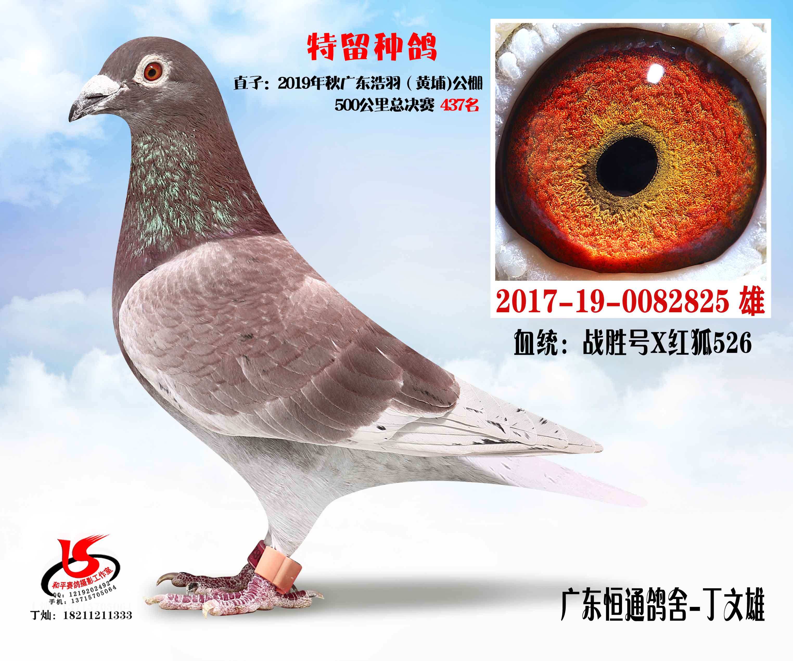 (zhn)ټt825