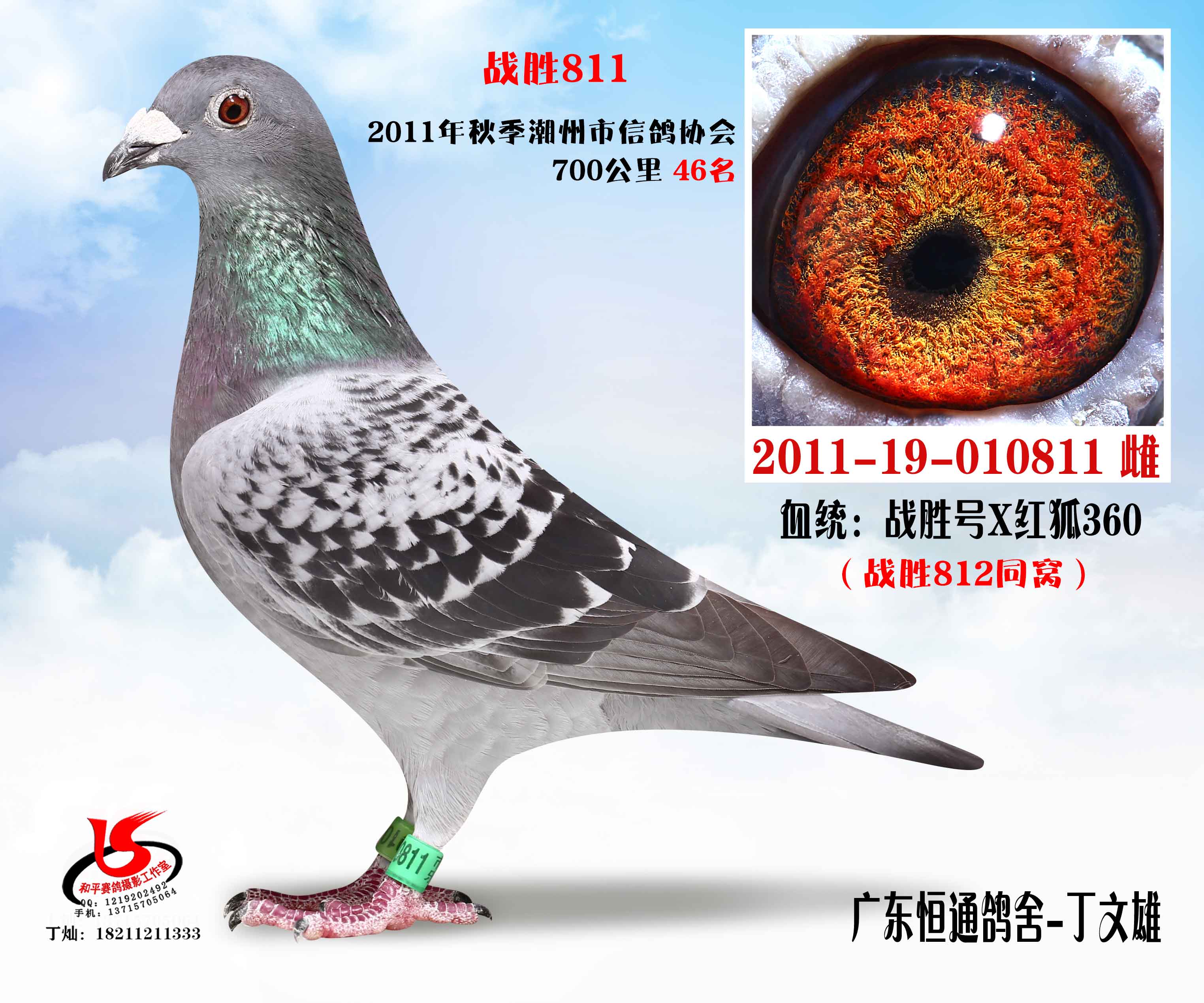 (zhn)ټt811