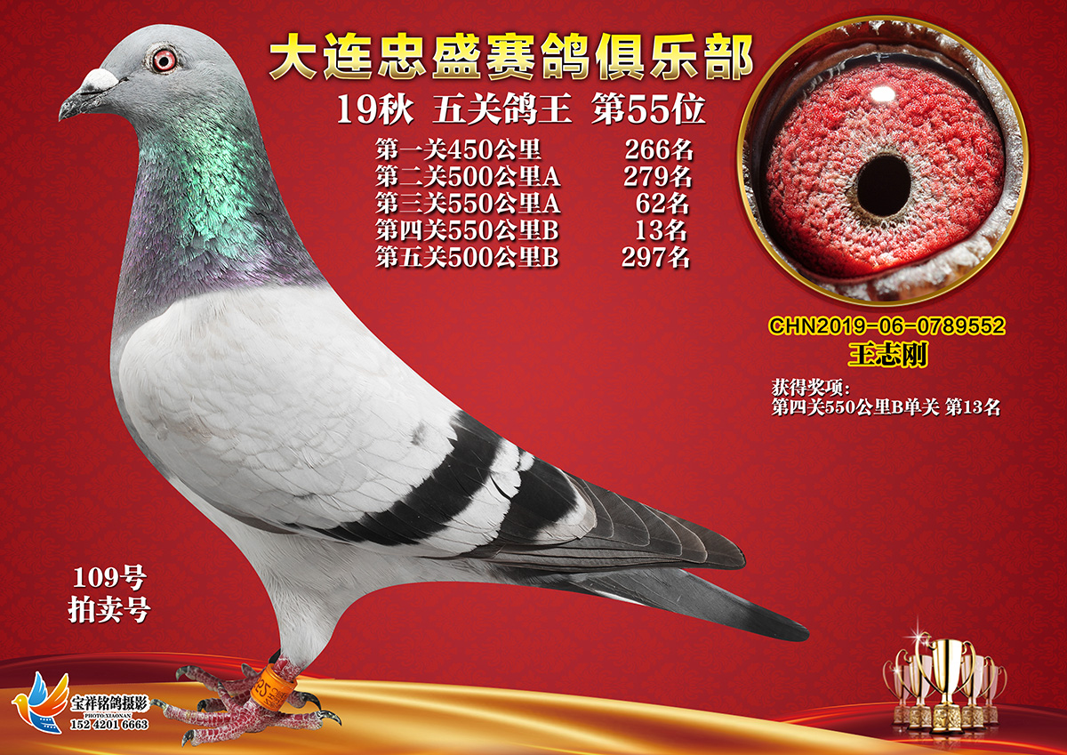 大连忠盛55名_北京志刚鸽舍_ ag188.com爱鸽商城_中国信鸽信息网