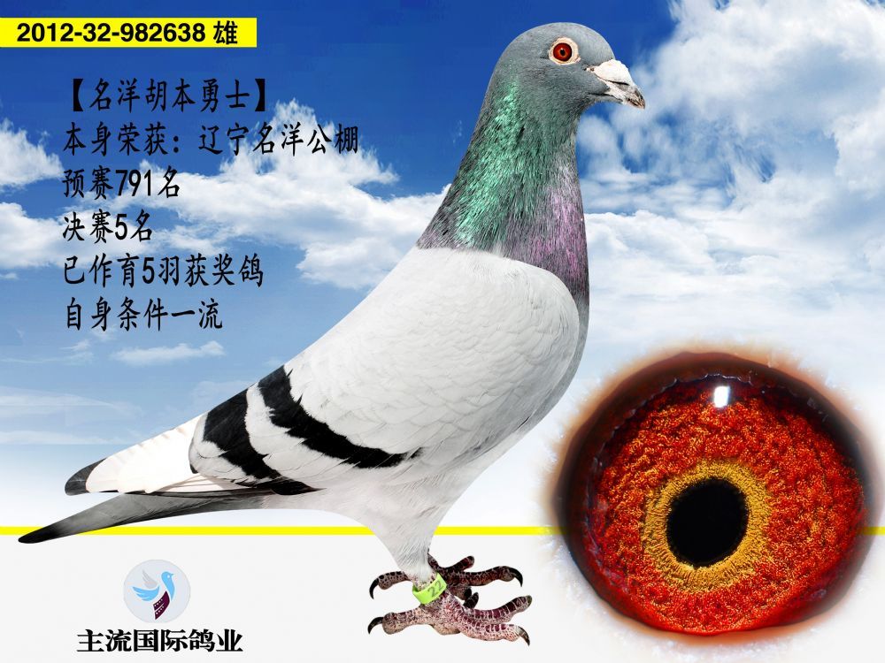 20181205133511462