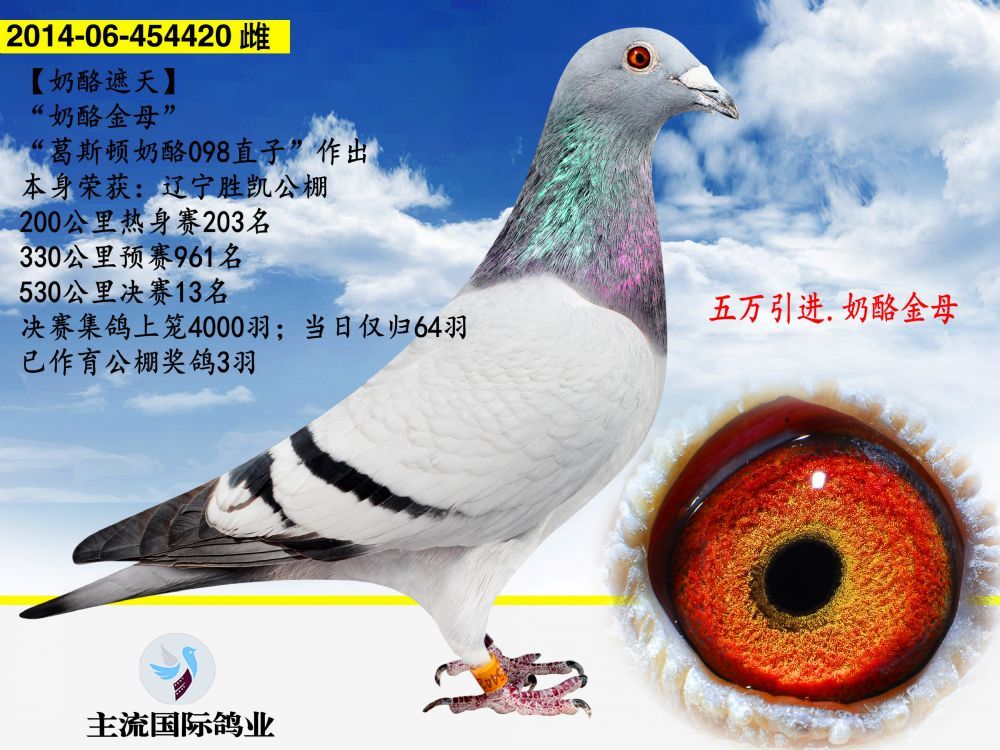 20181123110951786