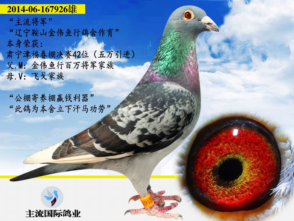 ΢ňDƬ_20200420235535_conew1