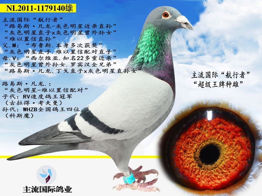 20200109121951727