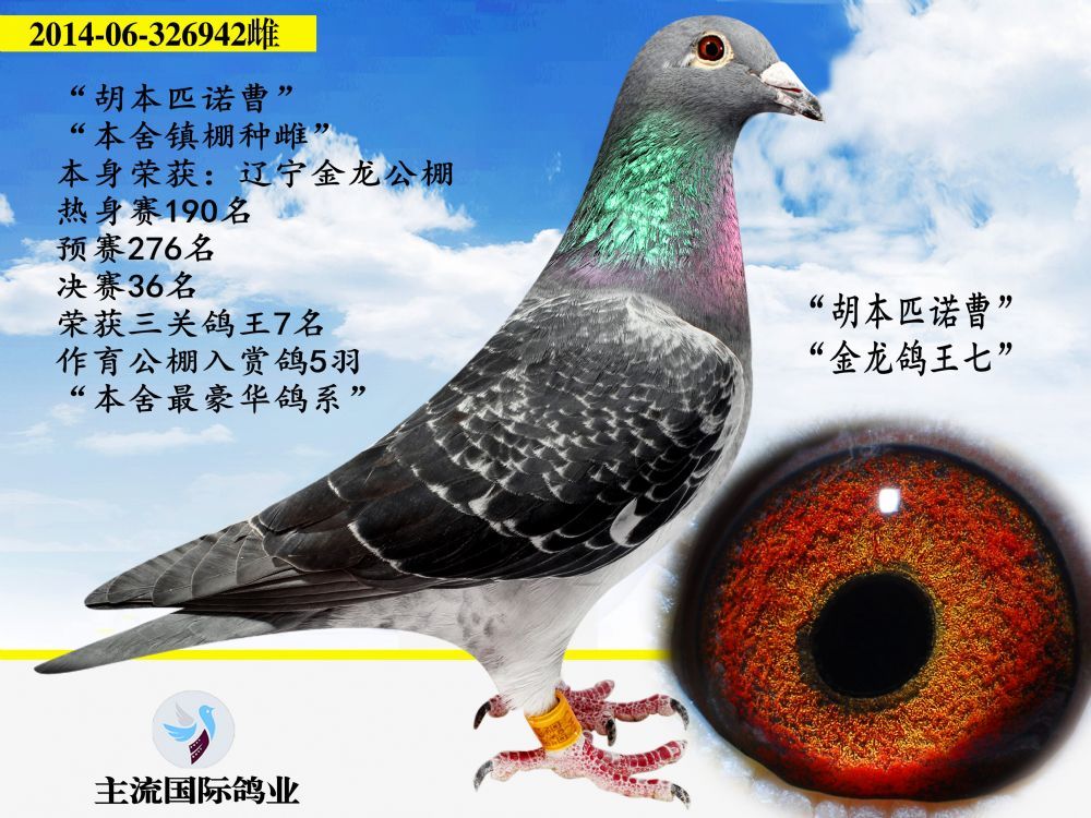 20191204125417544