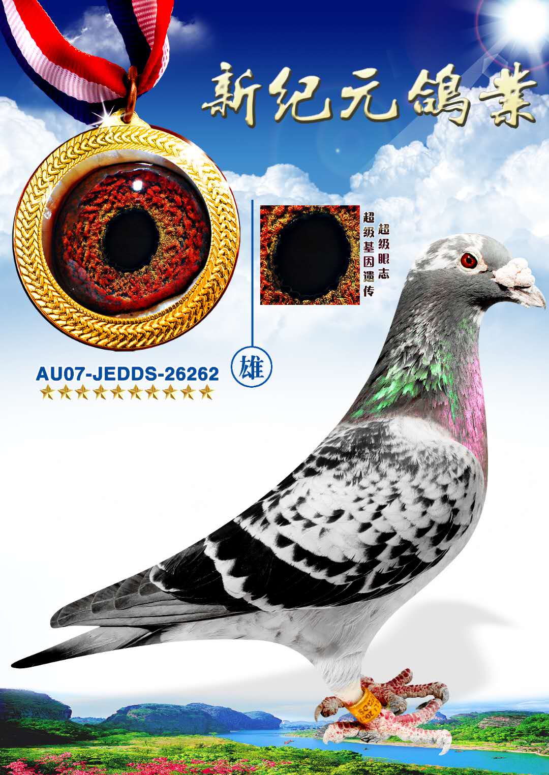 ���(zh��n)��N�ۡ���������