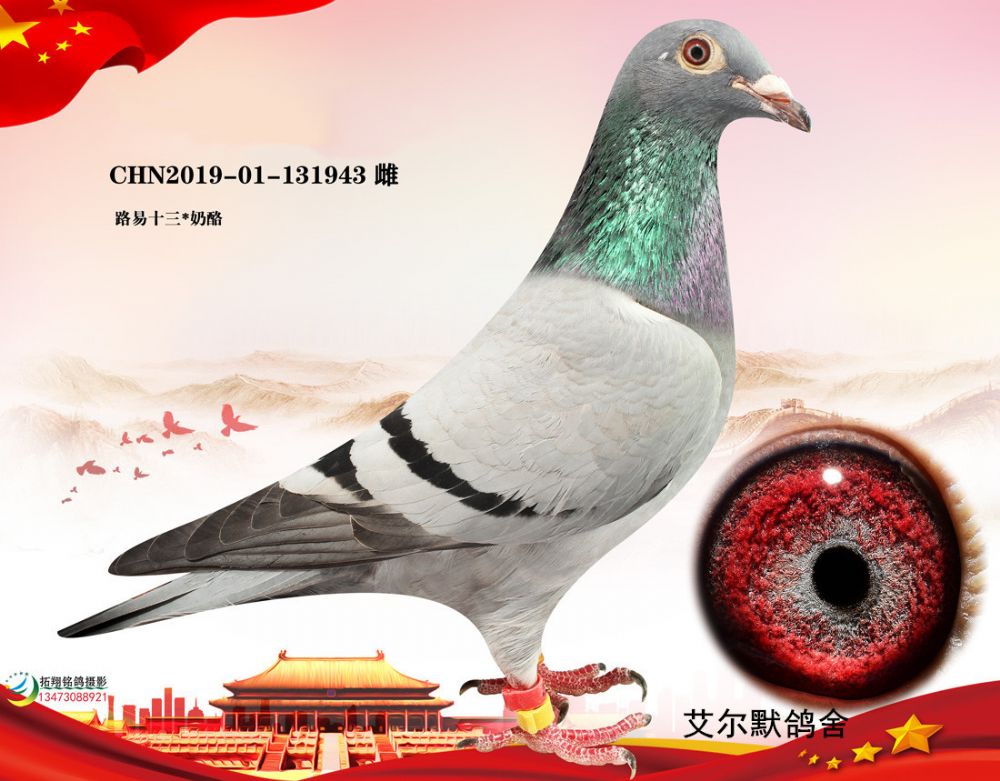 路易十三直系