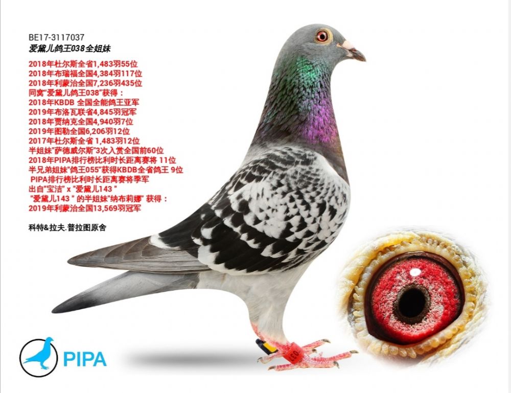 샺ͬCãһCpƣ