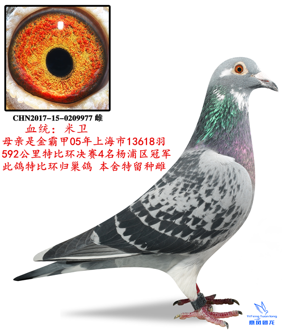05ԼϺ13618ر4ֱŮ