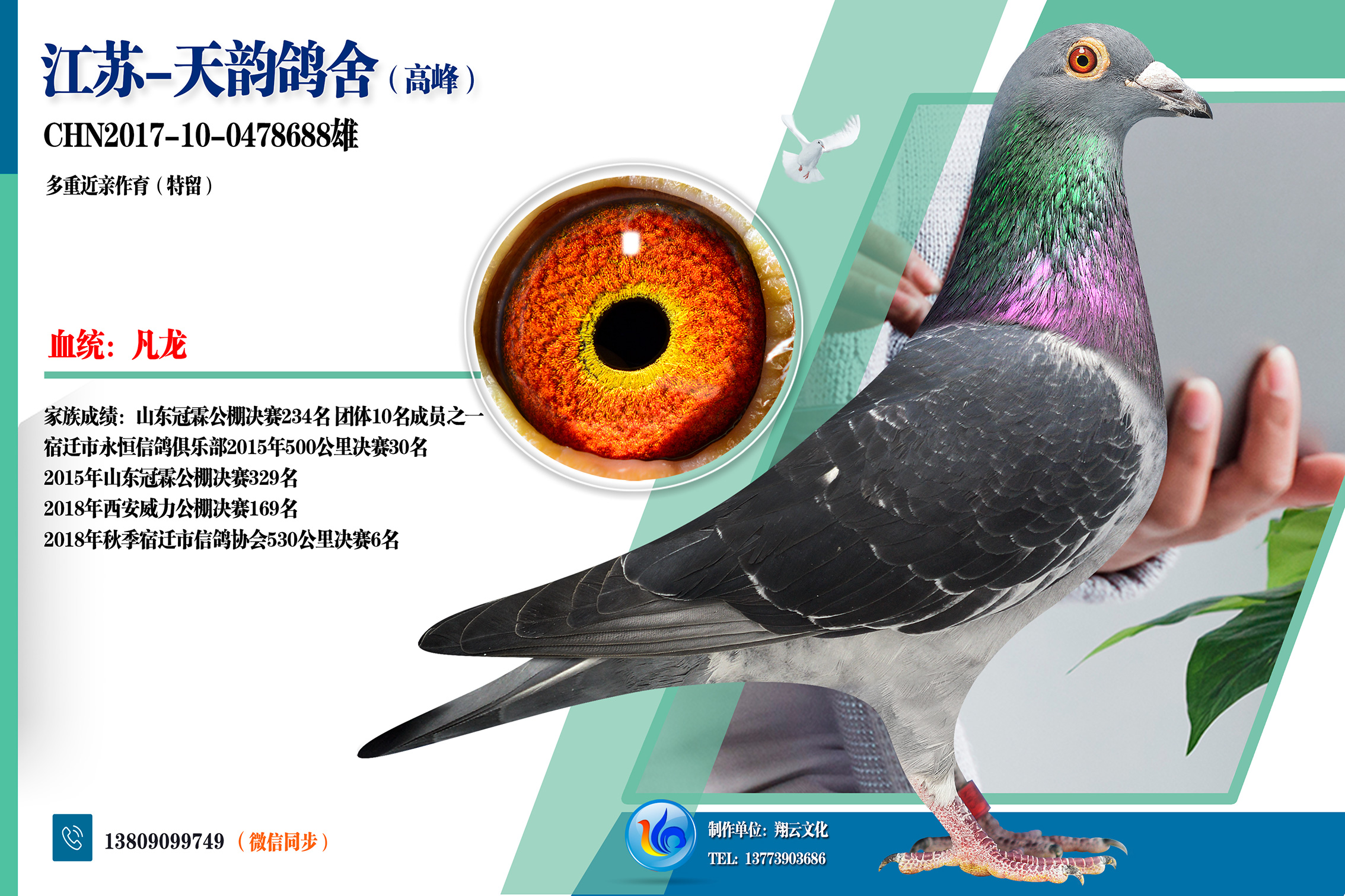 凡龙688