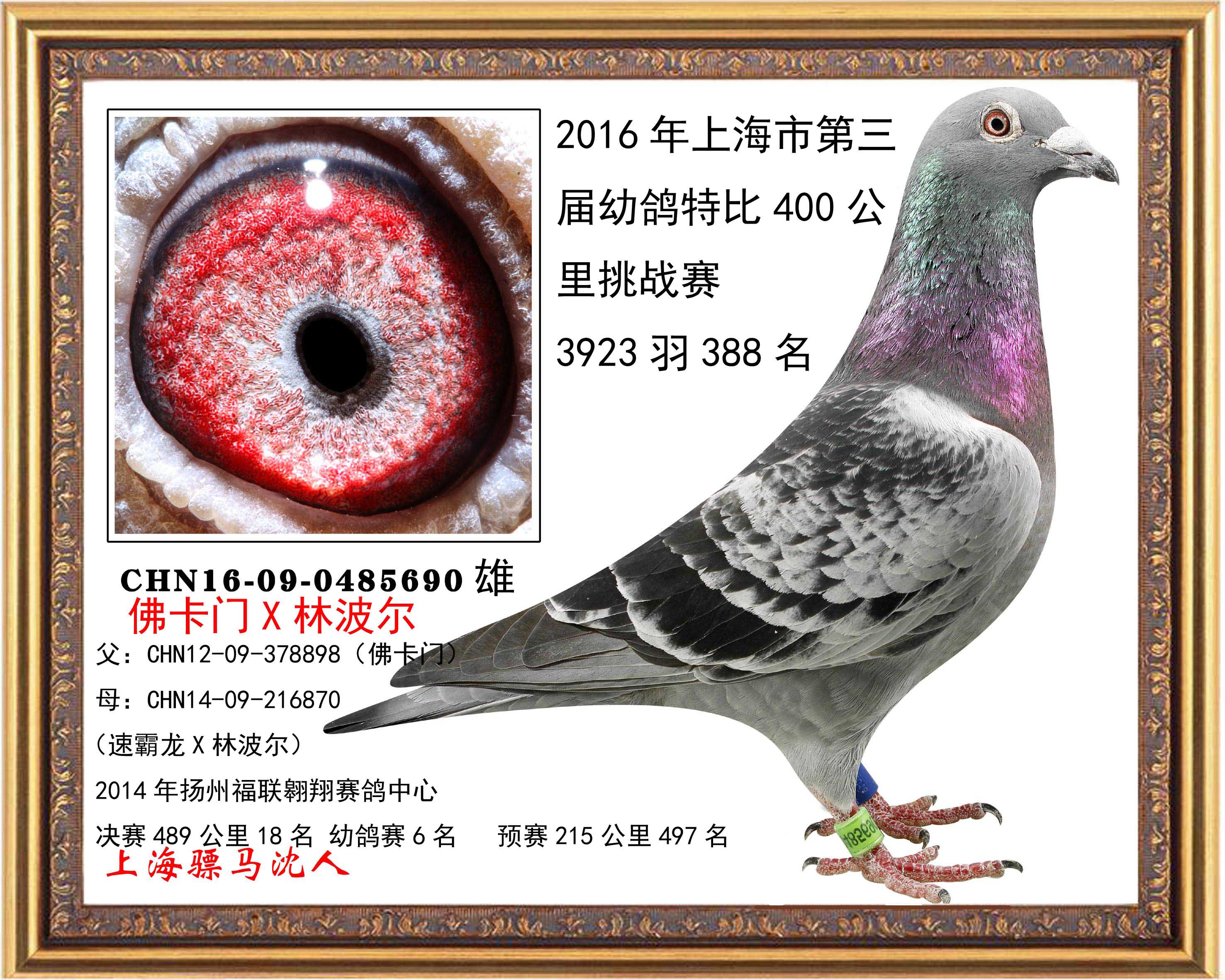 R5690