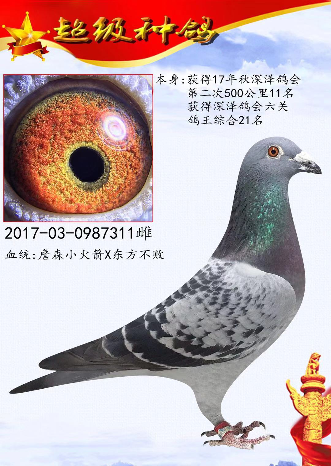 火箭311