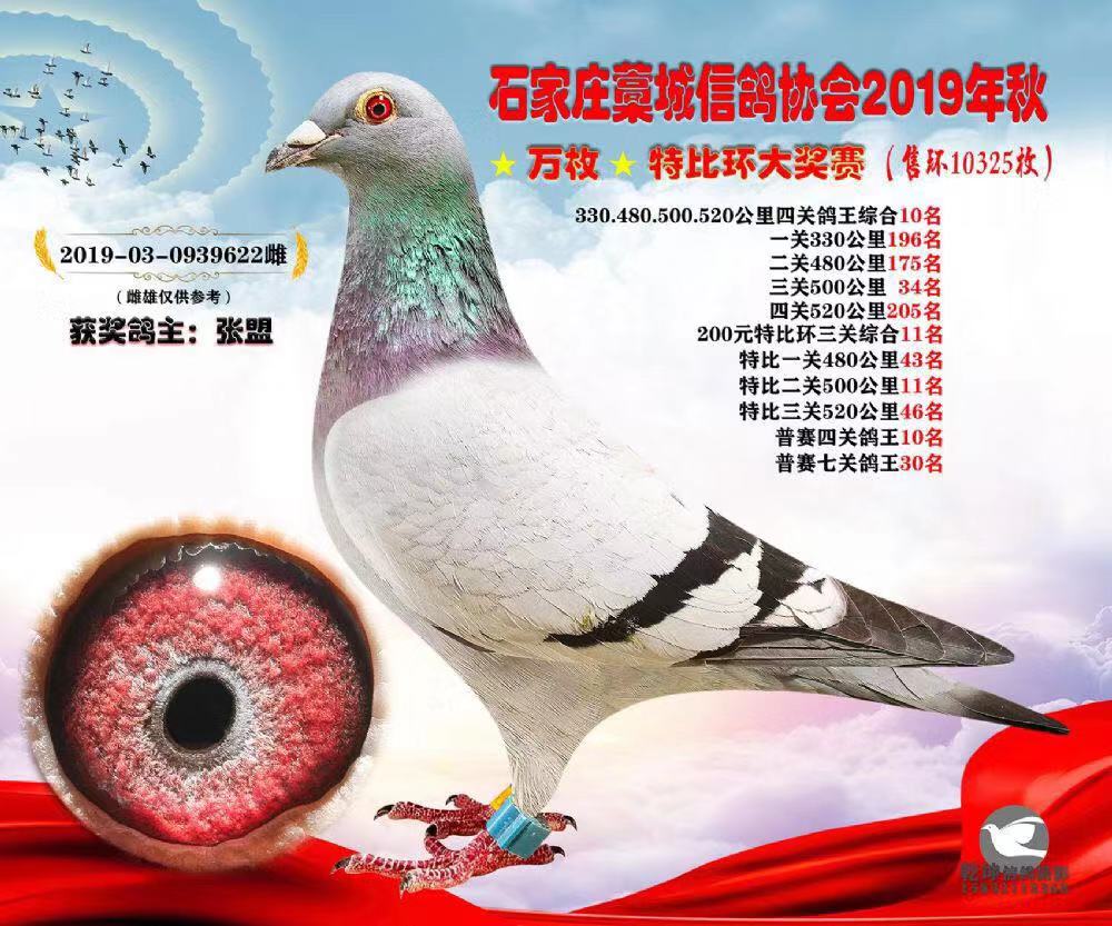 火箭622