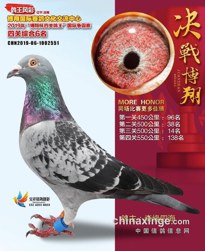 20191021114939364_s