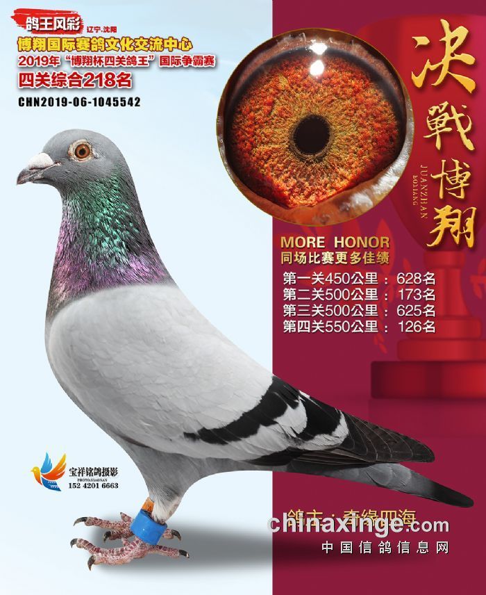 20191021121349827_s