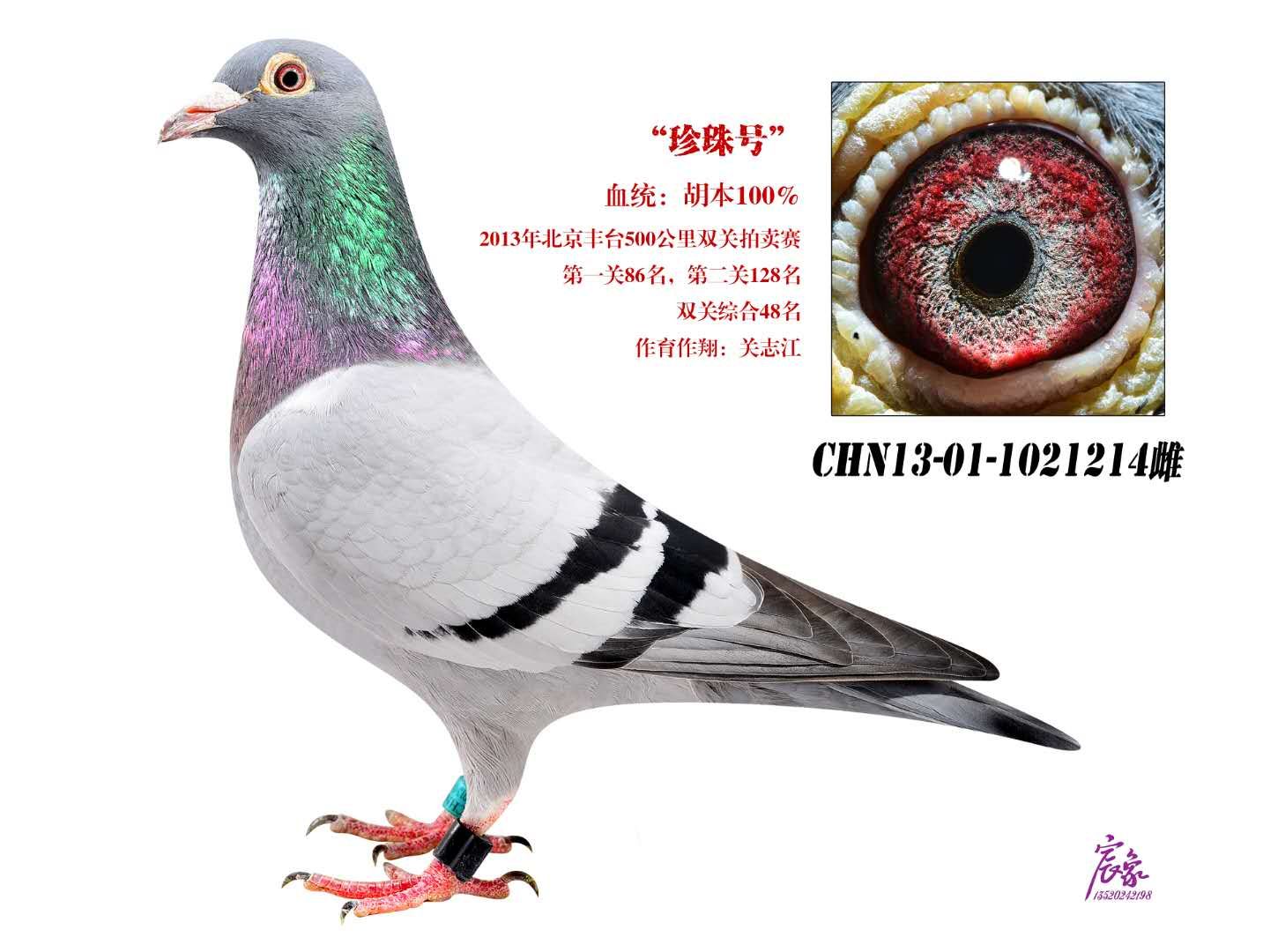 ̖