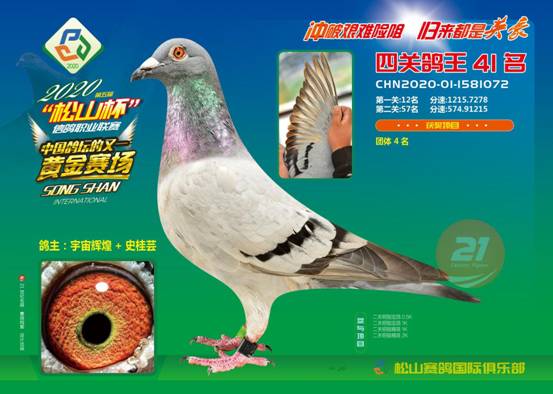 ��ɽԺ��(n��i)��܊