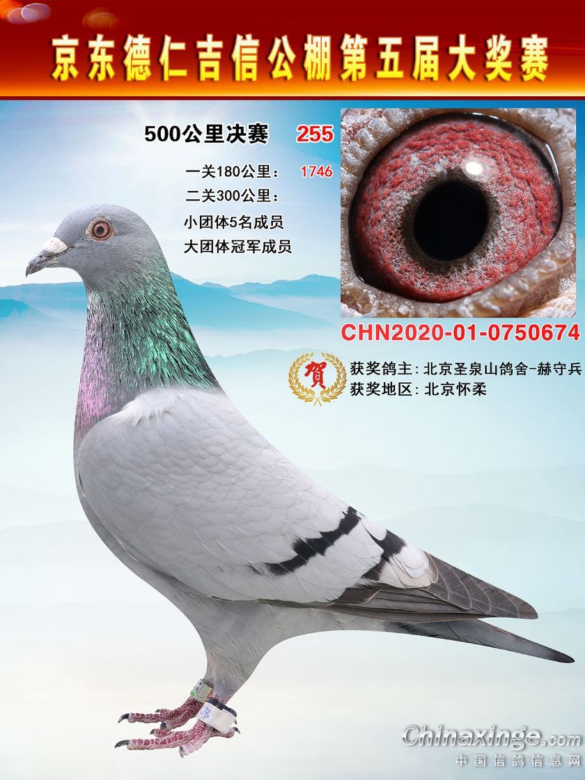  śQِ255