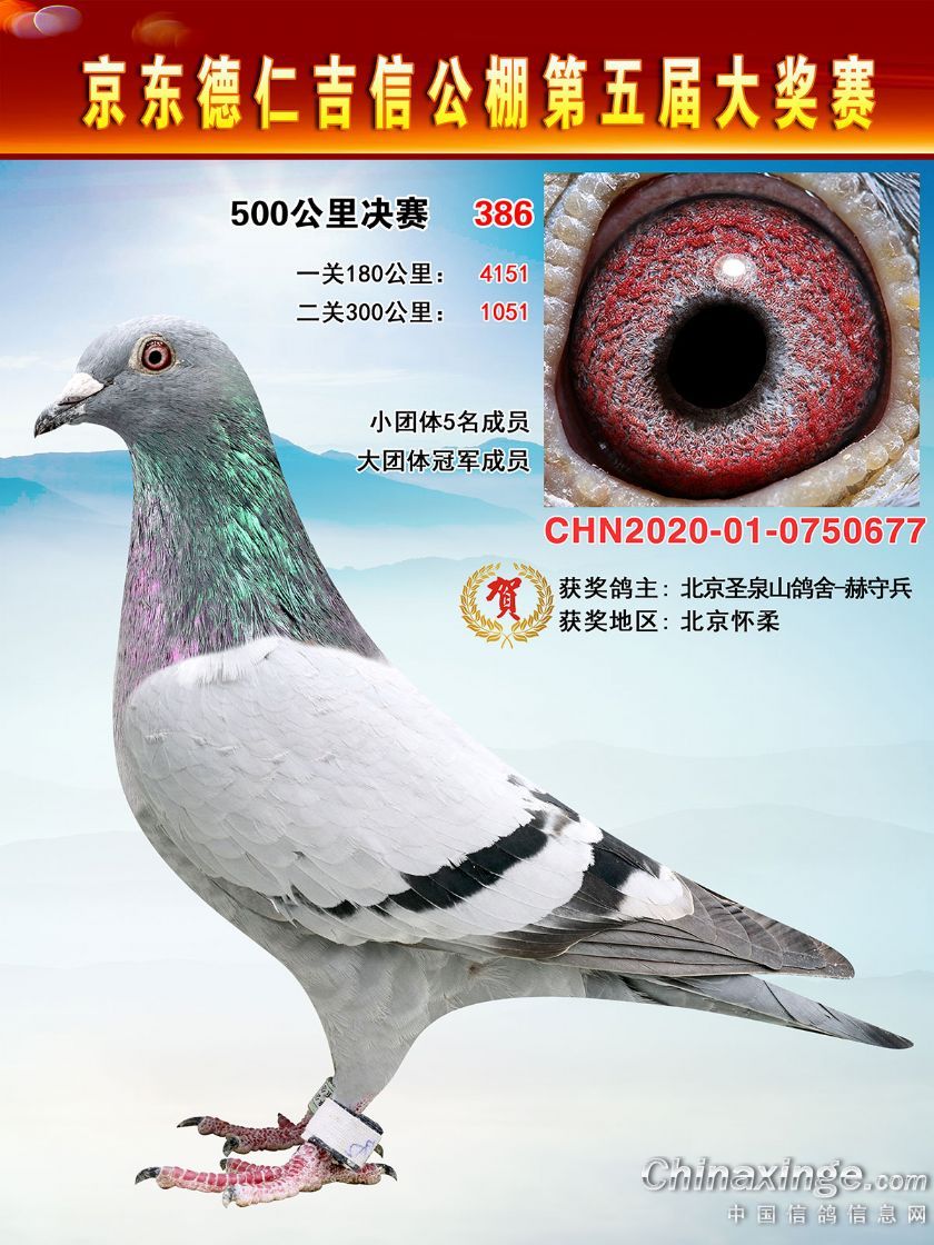  śQِ386