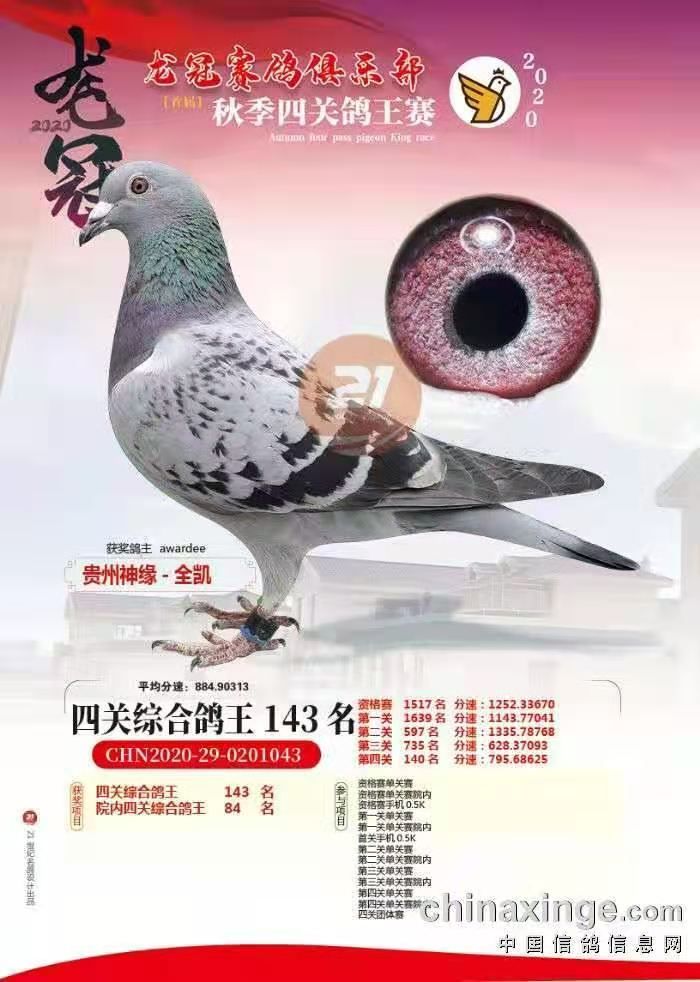 龙冠俱乐部四关鸽王143名