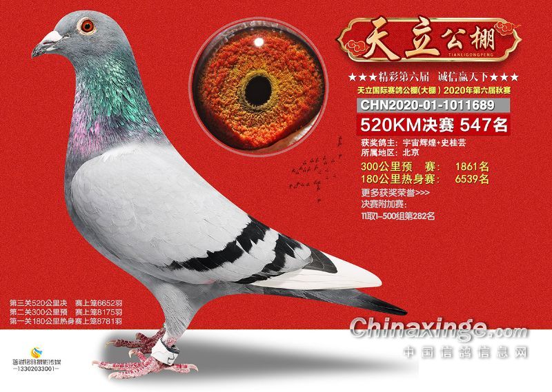 �����ɿ�(j��)��