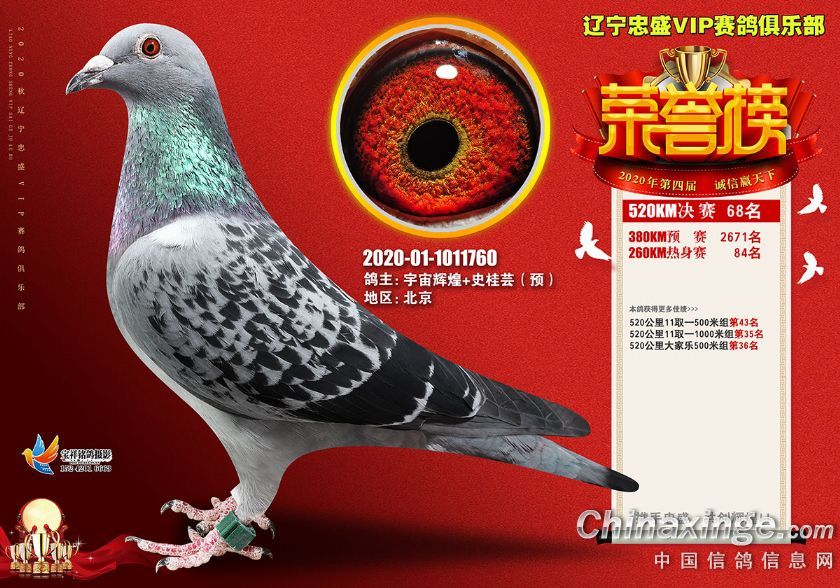 �|����ʢVIP����ɿ���