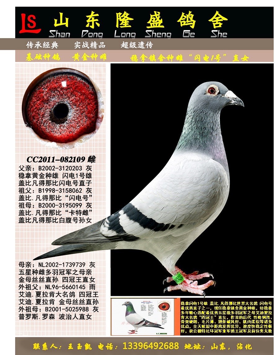 ����1��ֱŮ