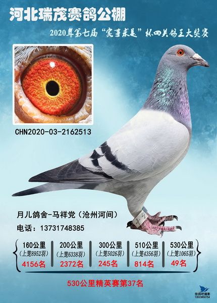 ï彩