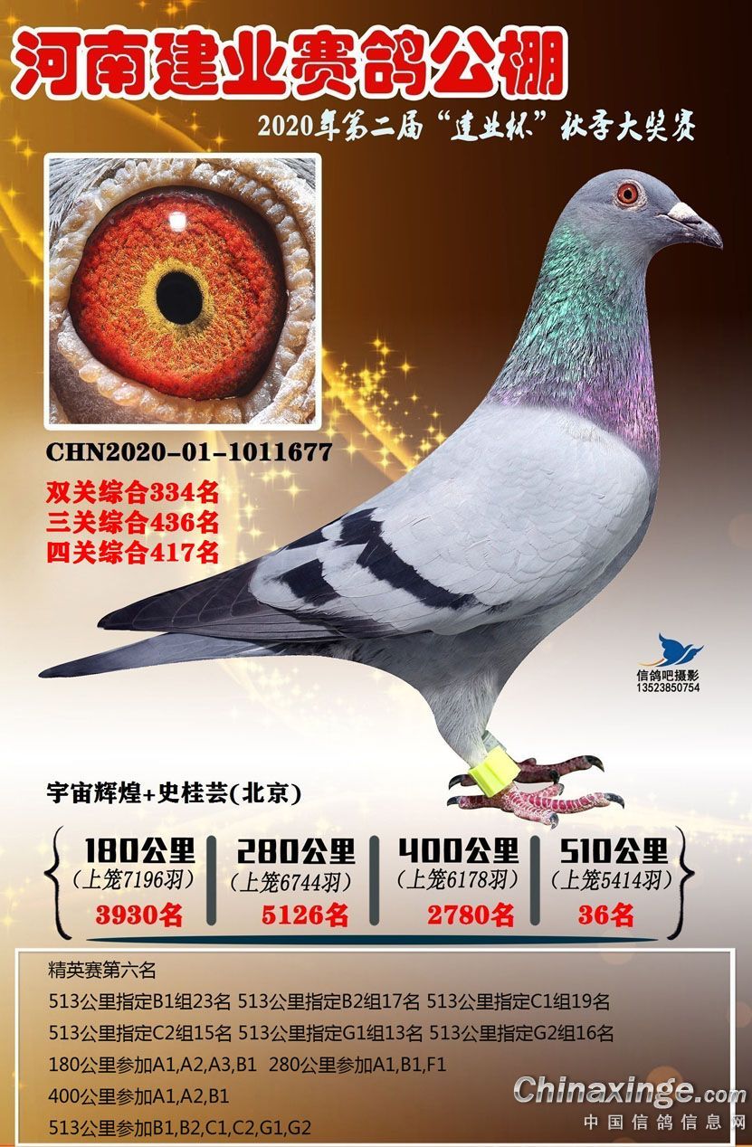 ���Ͻ��I(y��)����