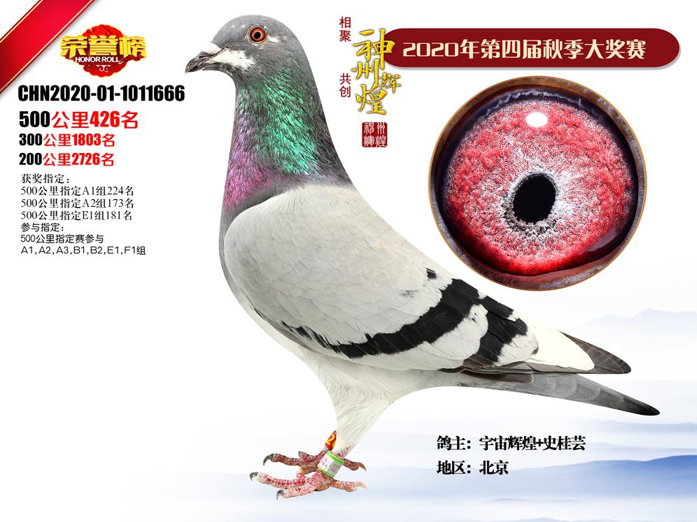 �����x�͹���