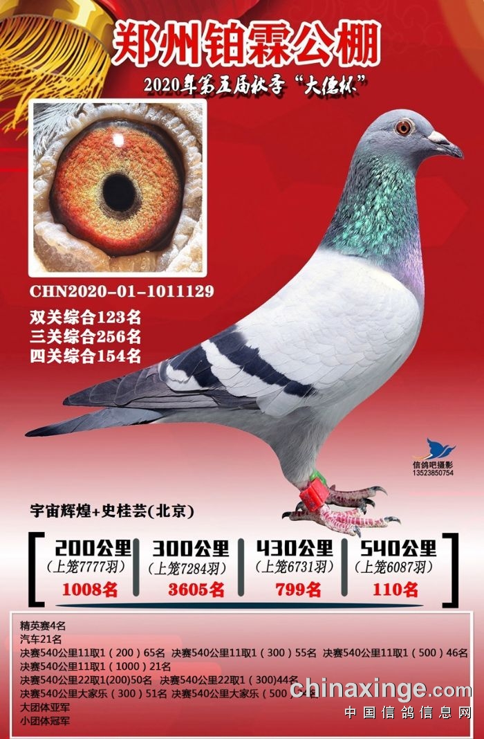 �����K�ع���