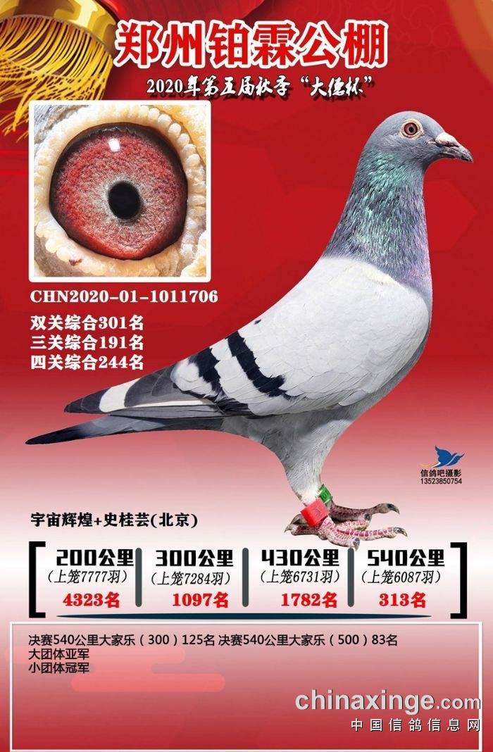 �����K�ع���