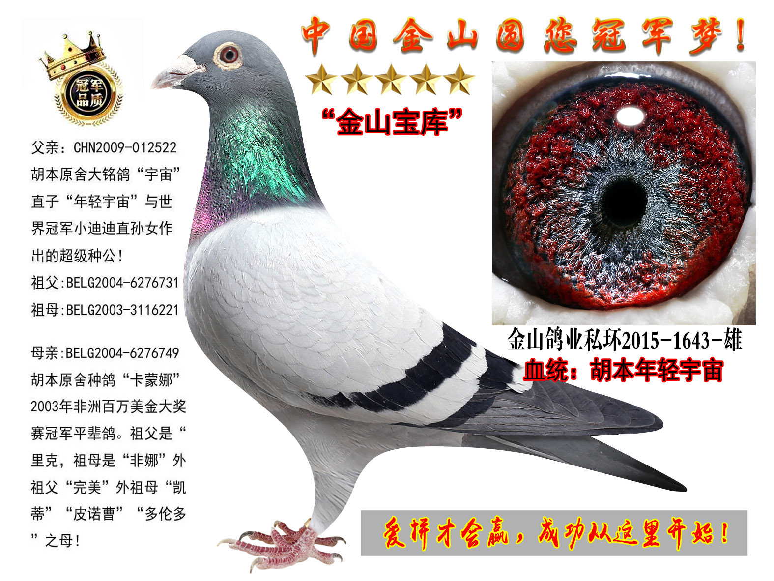 p桱ֱXԭᡰȡ