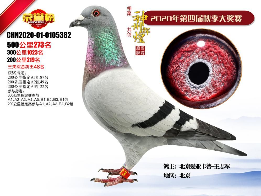 �����x�͹���Qِ273��