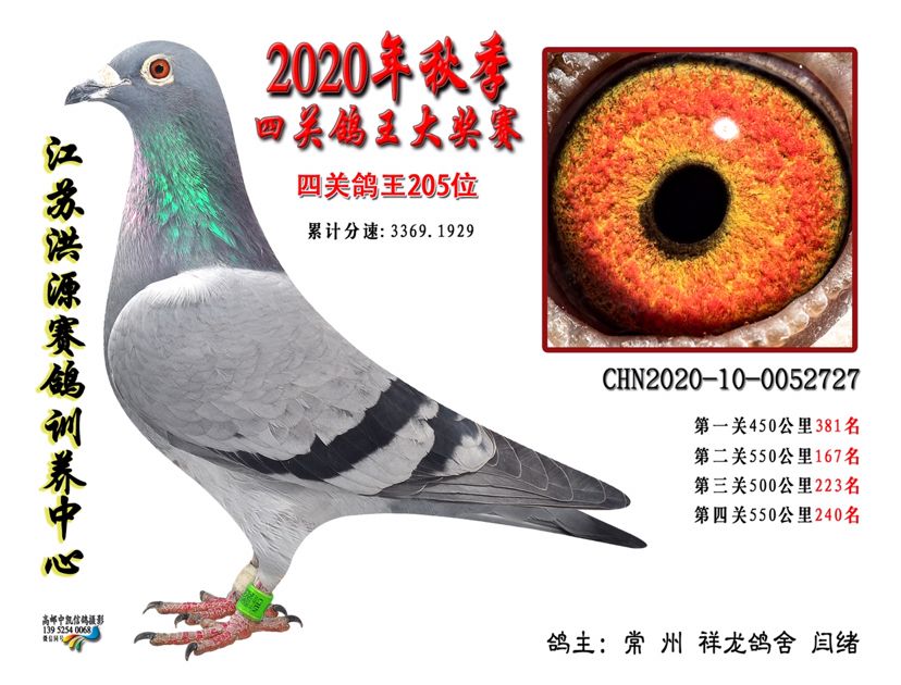 P(gun)205λ