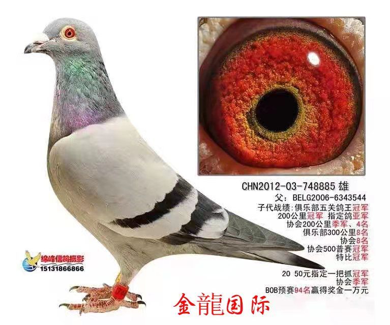 ĸ