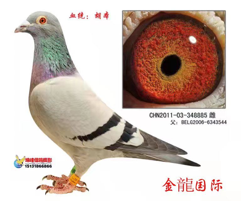 8885