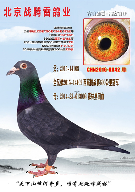 森林黑