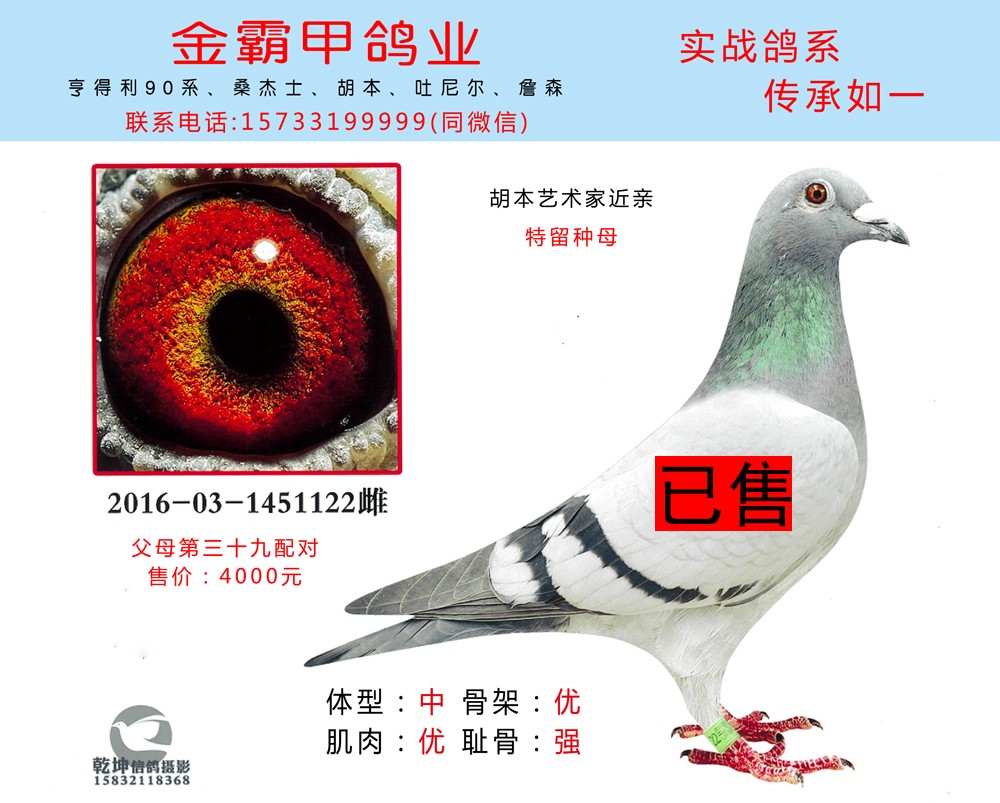 胡本艺术家近亲