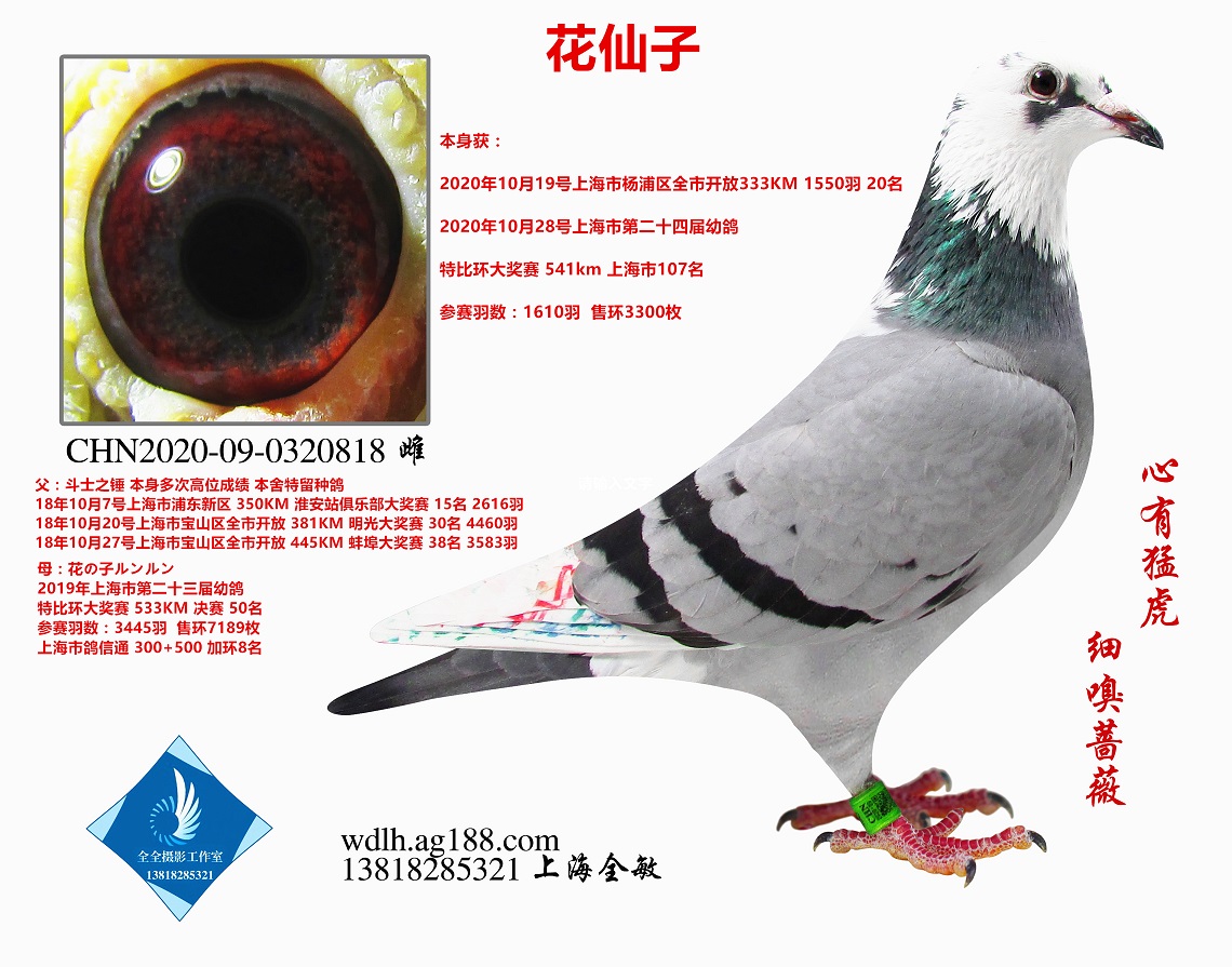   D(zhun)