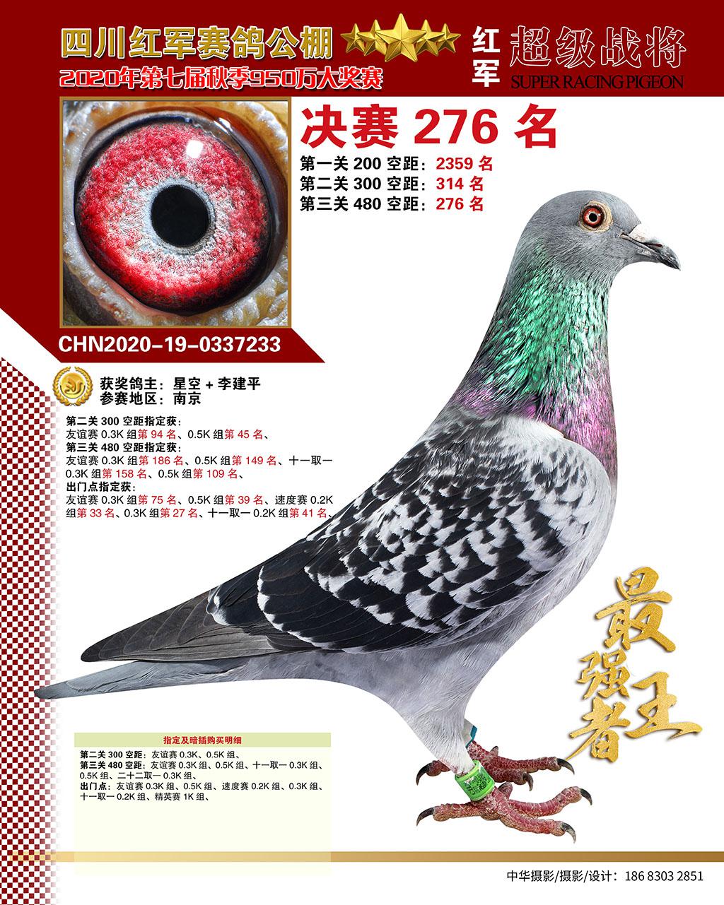 �Ĵ�����������275��