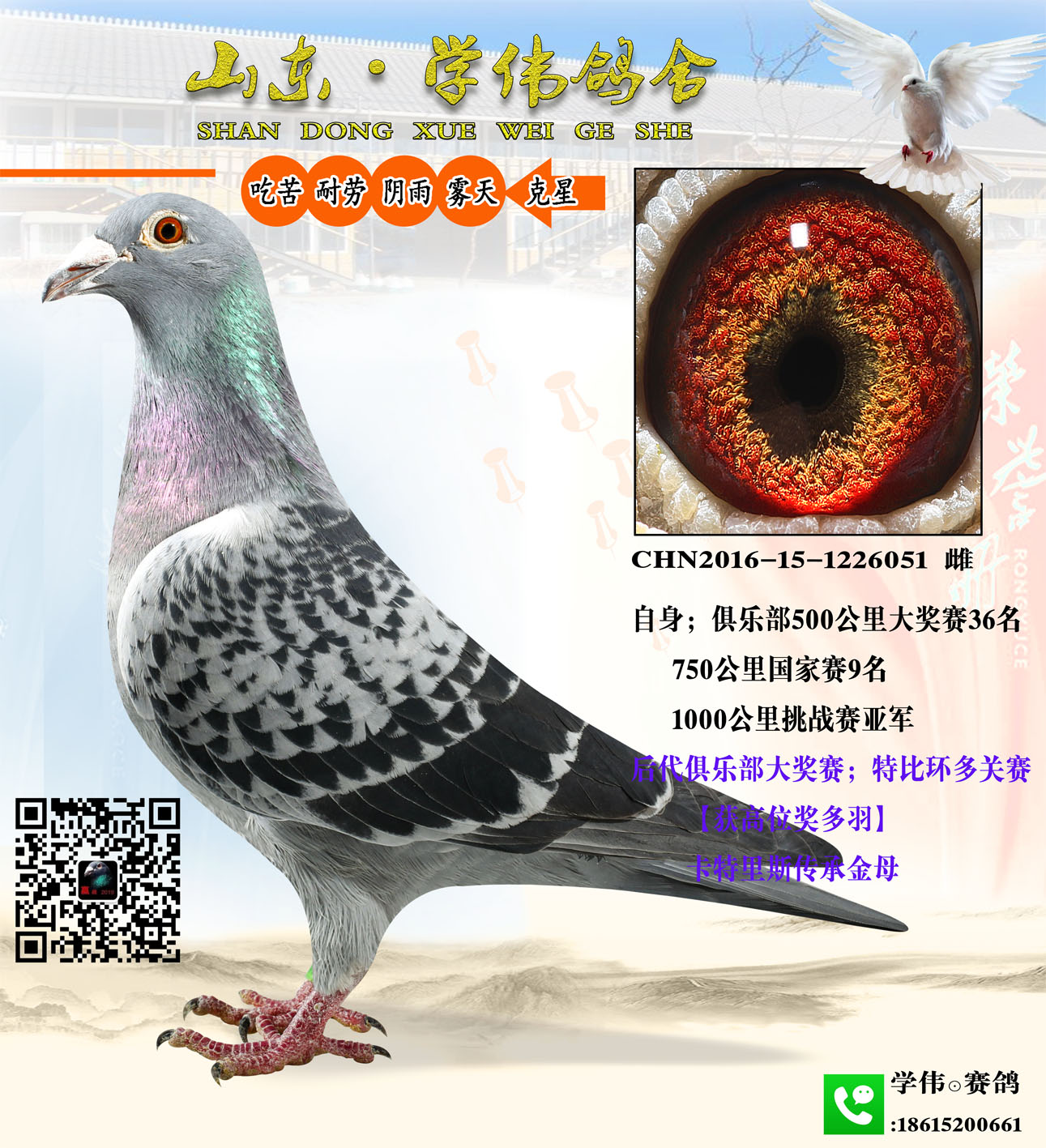 һL(fng)