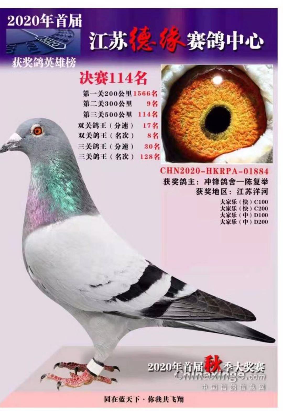 ˹ѪϵZK¾A(y)ِQ