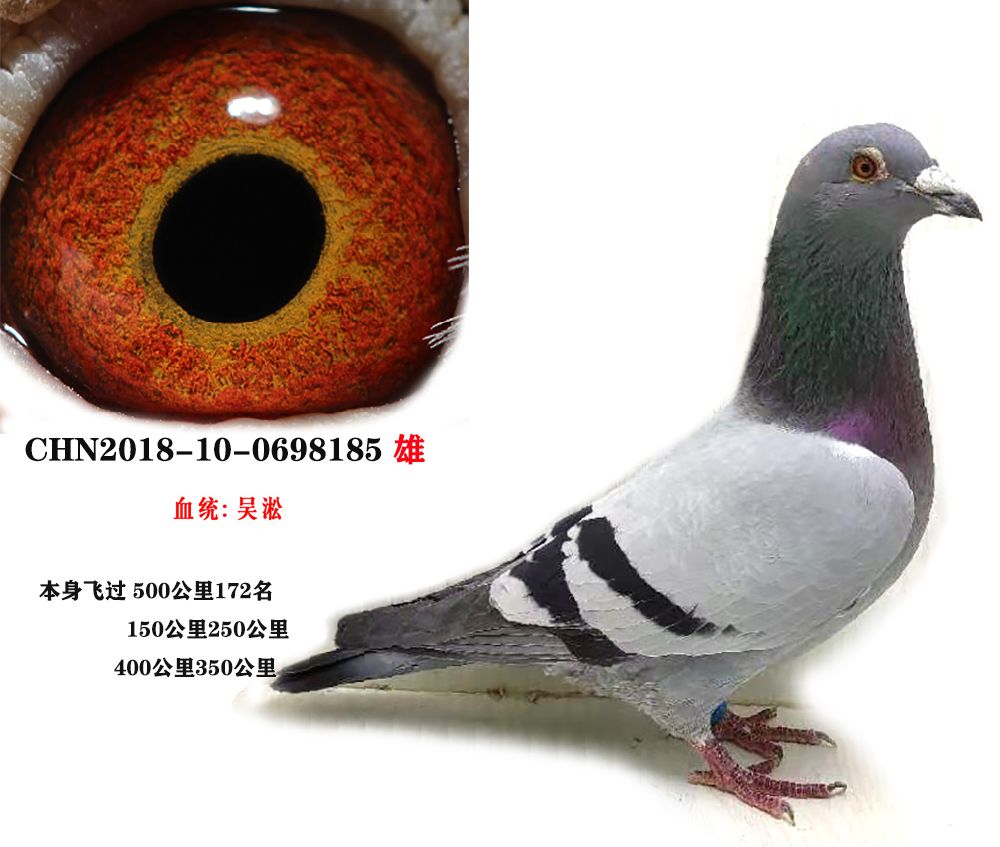 吳淞03