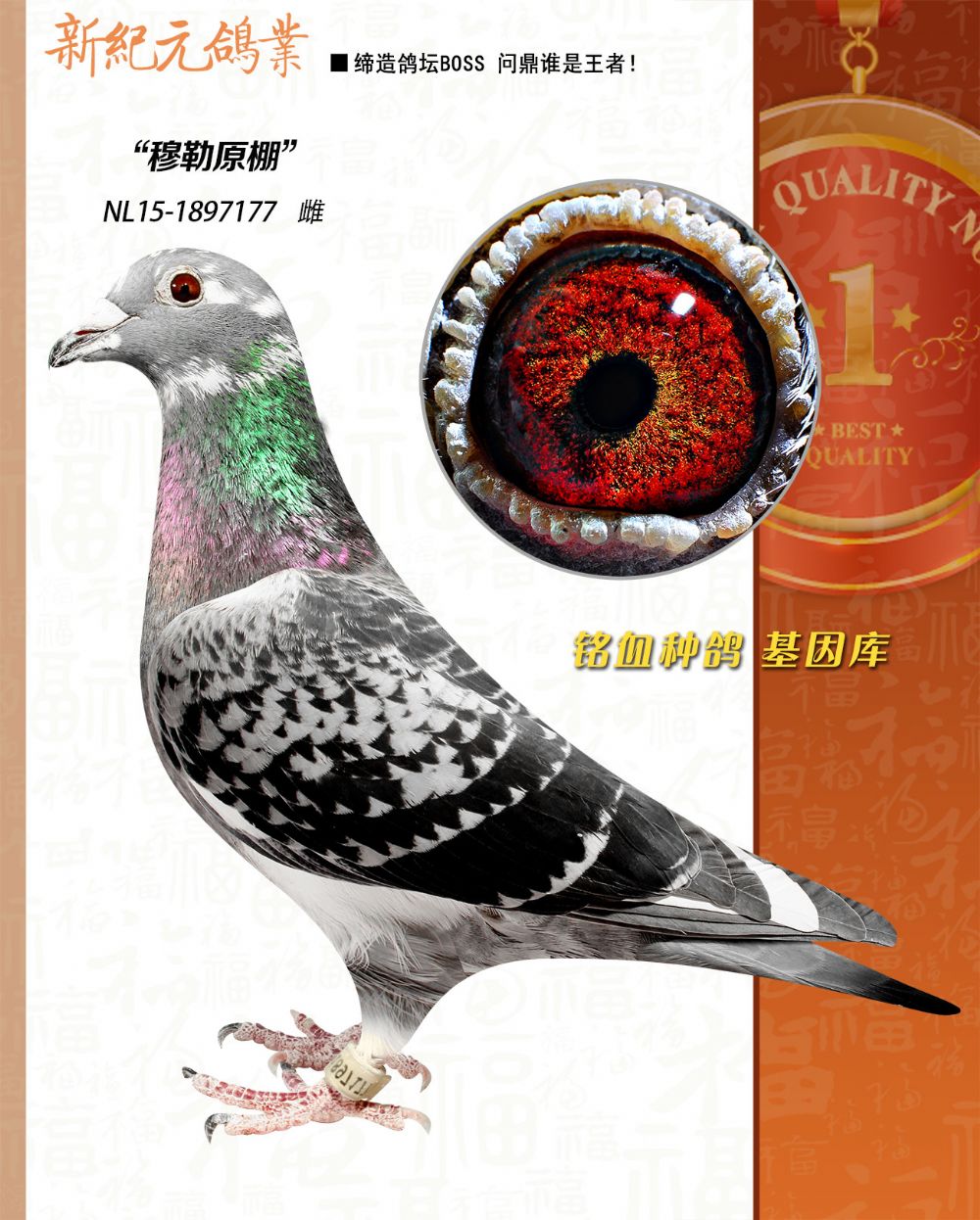 ��ǧ����5λ���á��Sķ����ԭ��