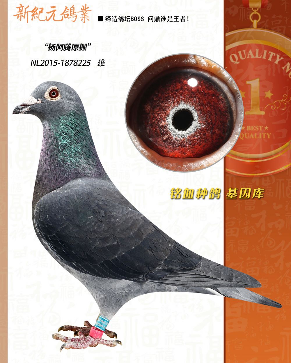 �����������ؽ��H��Ѫ