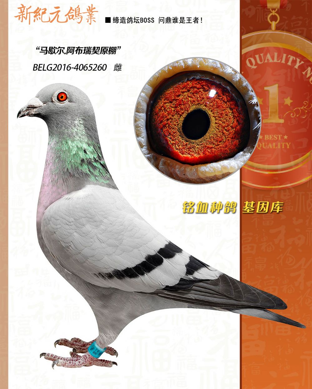 ����31719����܊�������ۡ�ֱŮ