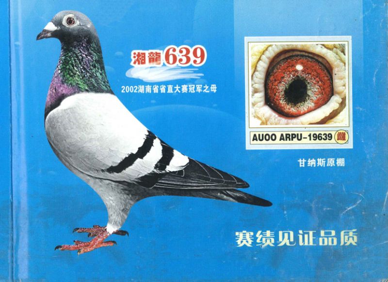 ʼ{˹639
