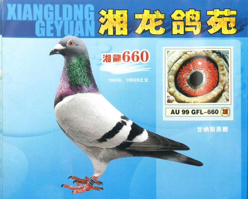 ʼ{˹660