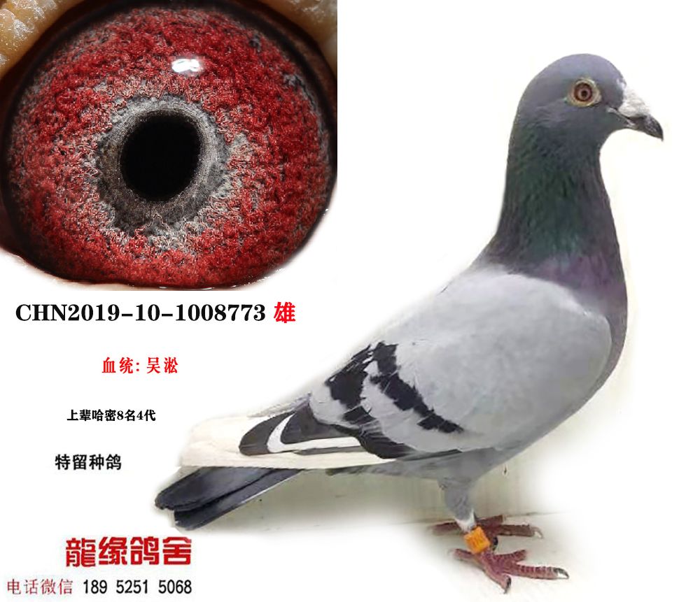 N06
